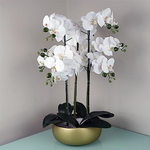 Leaf Design UK Realistic Artificial Orchid Flower Display in Pot,60cm