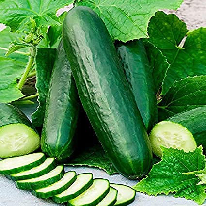Vision4ever 20 pcs Hanging Mini Cucumber Organic Cucumber Seed Snack Vegetable Fruit Seeds High Yield Perennial Hardy for Garden