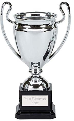 Trophies Plus Medals Mirror Silver Trophy Cup On A Black Base 17cm (6 3/4) FREE ENGRAVING