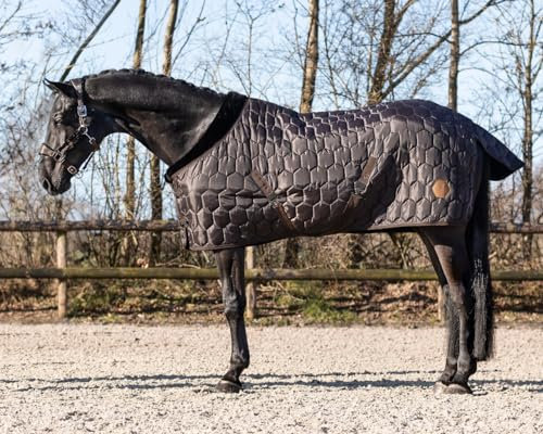 QHP Stalldecke Classy 100 g Kunstfellkragen (145 cm, Dunkelbraun)