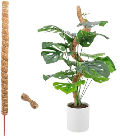 YZROHYI Bâton pour plantes grimpantes 100 cm, poteau de mousse pour plantes avec corde jute, musqué bâton fibre de noix de coco, pliable poteau sphaigne pour support monstera, support de plantes de