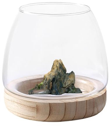 Vase Hydroponique en Verre, Bocal À Poissons en Verres pour Poissons Betta/Rouges, Fish Bowl Aesthetic Home Decor, Vase Bocal À Poisson en Verre Transparent avec Support en Bois