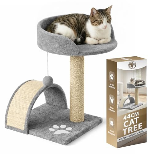 Rex & Roxy Cat Tree 44CM | Cat Scratch Post | Scratching Posts for Indoor Cats | Kitten Scratcher Post | Stable Climbing Tower With Scratching Bridge, Cosy Bed & Post for Playing (Grey)