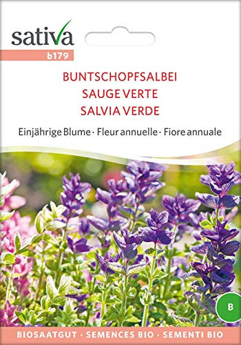 Sativa Rheinau b179 Buntschopfsalbei (Bio-Salbeisamen)