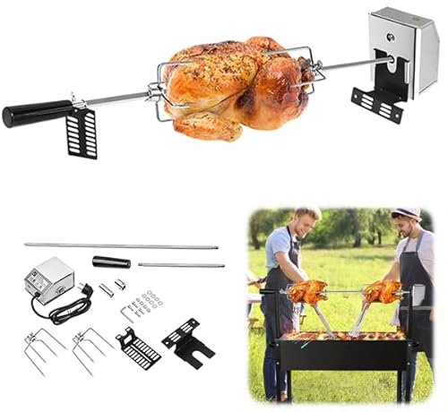 Aufun Juego de asador Giratorio con Motor de Acero Inoxidable, asador Giratorio eléctrico para Barbacoa 107 cm, con 2 Agujas para Carne, 220V - 240V Asador Giratorio de Gas, para Viajes Camping