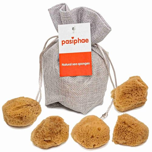 Intimate - Lot de 5 éponges de mer naturelles non blanchies - 100 % naturelles - Réutilisables et durables - Taille : 3 à 5 cm