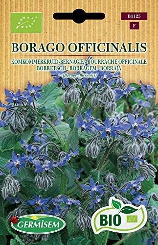 Germisem Bio Graines Bourrache officinale BORAGO OFFICINALIS