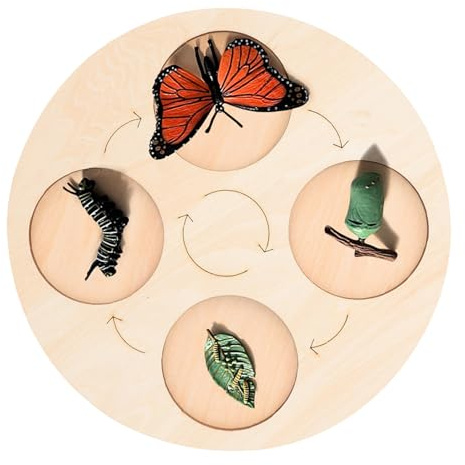 Gogogmee Piatto Educativo Ciclo di Vita Animali per Gioco Cognitivo di Crescita Rappresentazione Didattica Quadro Sezioni per Apprendimento Precoce e Sviluppo Immaginativo