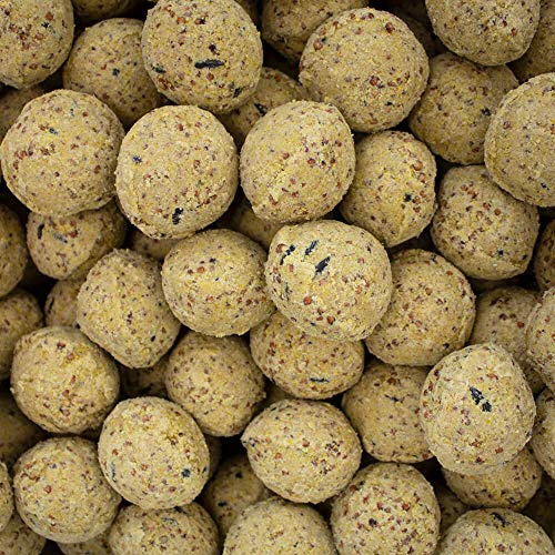 Leagrams Fat Balls for Wild Birds - Without Nets - High-Energy Suet Feed (150 Fat Balls)