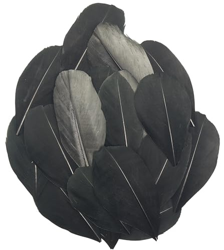 50 Pieces Natural Goose Feathers, 2-3 Inch Craft Feathers for Centerpieces, Bulk Colorful Feather for Gatsby Party, Weddings Dress and Birthday Home Party Decoration (Black)