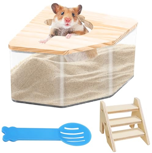 Behogan Bagno Di Sabbia Per Criceti, Criceti, Topi, Lemming, Gerbilli Da Corsa (Pentagono), Con Scala E Pala, Acrilico Trasparente