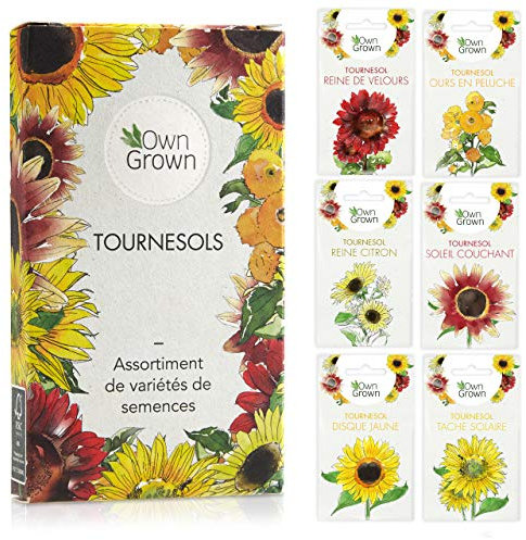 OwnGrown - Kit de Graines de Tournesol avec 6 Variétés de Fleurs d'Extérieur - Set de Jardinage de Qualité Supérieure