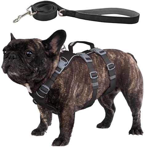 Wuffley Imbracatura e guinzaglio antifuga, leggera imbracatura per cani con maniglia di sollevamento e assistenza, pettorina riflettente senza strappi per cani di taglia piccola e media (Nero,M)