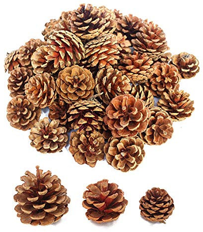 Lifreer Lot de 30 pommes de pin naturelles séchées pour décoration de sapin de Noël, marron, 3 tailles