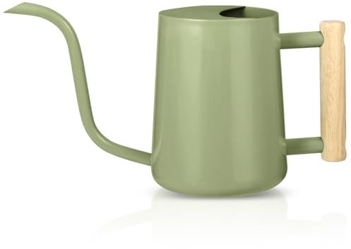 Watering Can Indoor Plants, 35oz Small Watering Can Stainless Steel Metal Watering Cans Modern Decorative Watering Pot with Long Spout for Indoor House Plant Bonsai Outdoor Garden Flowers -Sage