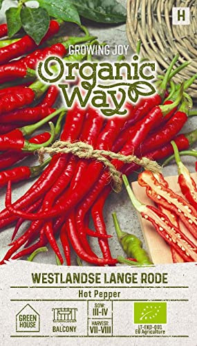 Organic Way| SEMI DI PEPERONCINO RODE WESTLANDSE LANGE | Semi di ortaggi | Semi di Peperoncino | Semi di piante | Semi da giardino | 1 pacchetto