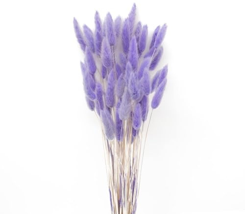 JKDHJK 50 Count Erba Della Pampas Fiori Secchi Never Fade Natural Fiori Secchi Decorativi Boho Decor Super Fluffy for Home Decor, Wedding Decor, Birthday Decor (Viola Chiaro)