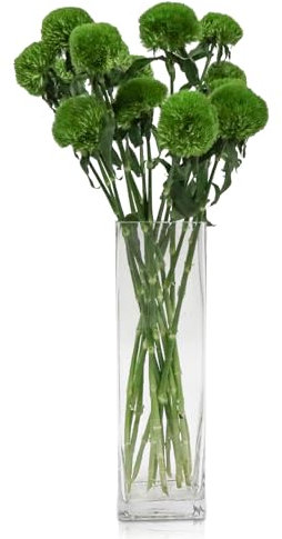 DRERIO 40 cm Glasvase Gross Blumenvase Modern Bodenvase Groß, Glas Vasen Durchsichtig Vase Glas Hoch Rechteckige Vasen für Orchideen, Rosen, Tulpen, Pampasgras, Tischdeko, Kerze (12 L*12 B*40 H cm)