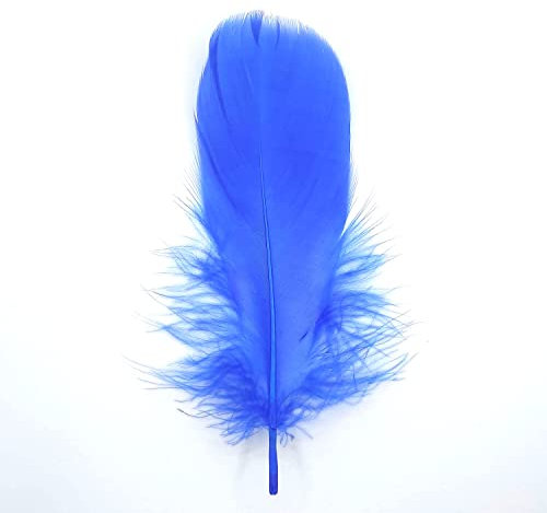Natürliche Federn Gänsefedern, ca. 15-20 cm, 10 Stück, Königsblau - Kopper-24 Gans Schwanzfedern Schmuck Dekoration Bastelfedern für Hochzeit Karneval Party Deko Kostüme Natur Basteln