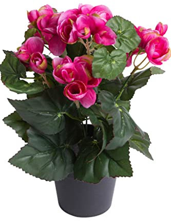 künstliche Begonie (Begonienbusch) mit 7 Stielen im schwarzen Kunststofftopf (Beauty)