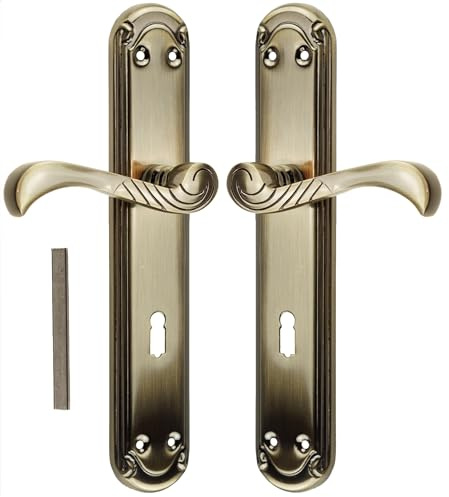 FEINZ Poignée de Porte Casablanca Nickel 72mm Plaque Longue | Ergonomique, retour à ressort, kit complet, idéal portes intérieures
