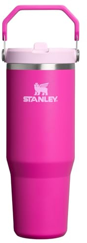 STANLEY IceFlow 2.0 Flip Straw Tumbler with Handle 30 oz | Twist On Lid and Flip Up Straw | Leak Resistant Water Bottle | Insulated Stainless Steel | BPA-Free | Violet Blossom