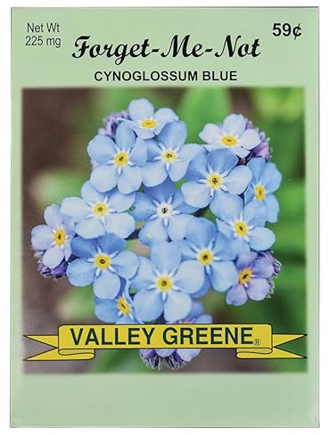 Set of 50 Forget Me Not Valley Green Flower Seed Packets! Flower Seeds in Bulk - Forget Me Nots