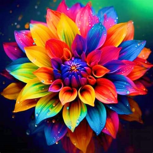 Winterhart MehrjäHrig Dahlien Zwiebeln Dahlien Knollen Winterhart Dahlien knollen Schönes Bepflanzen von Staudengärten-2Knollen-d