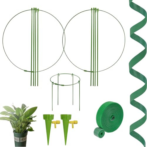 7 Stück, Pflanze Stützpfähle, Pflanzenringe rund, Metal Pflanzenstütze, Frei einstellbar, für Topfpflanzen, staudenhalter klein, Tomaten, Ros, 2 Automatisch Bewässerung, mit 1 Metern Ties