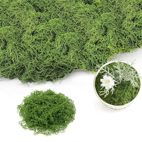 Jiaoshou Pan 200g Musgo Artificial para Decorar, Musgo Falso Vegetal