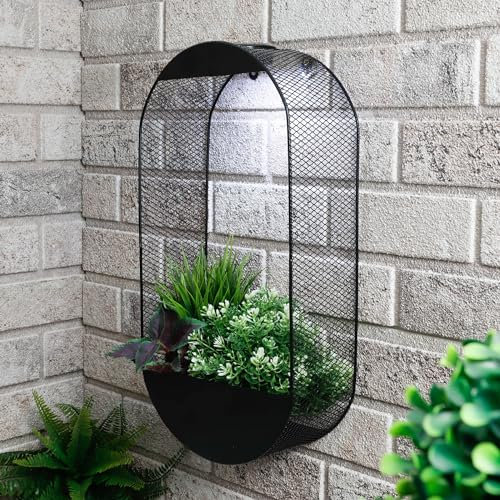 Gardenwize - Solar Pwered Warm LED Real Flower Wall Planter Decorative Stylish Indoor & Outdoor Ceiling and Wall Planter with Recharable Solar Back-up For Home,Garden (Oval)