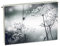 Magnet Heizkörperverkleidung Heizkörperabdeckung Grau Pusteblume 80x60 cm Heizung Abdeckung Verkleidung Magnetische Abdeckmatte Kühlschrank aus Einem Flexiblen Magneten Digitaler Aufdruck