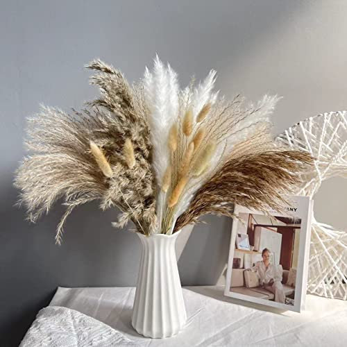 72Pcs Natural Dried Pampas Grass Bouquet for Home Decor - Fluffy Artificial Phragmites Dried Flowers - DIY Boho Plant for Floral Arrangements and Decorations
