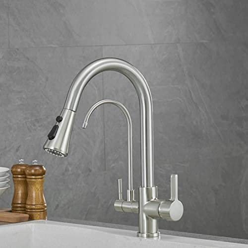 XJTNLB Osmose Armatur Küche 360° Drehba Armatur Küche Ausziehbar Doppelter Ausguss 3 Wege Wasserhahn Küche für Wasserfilter,Gebürstet,B