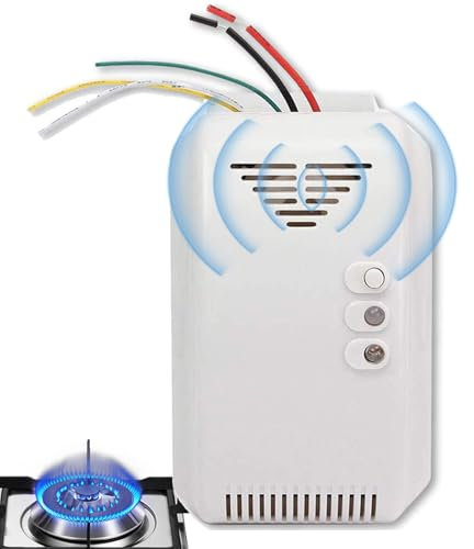 Erdgasdetektor - Gasleckdetektor | Home Gasalarm für RV | Hochempfindlichkeit Kohle Erdgasleckerkennung | Überwachungssensor für die Marine Verwendung von Wohnmobilen (12 V)