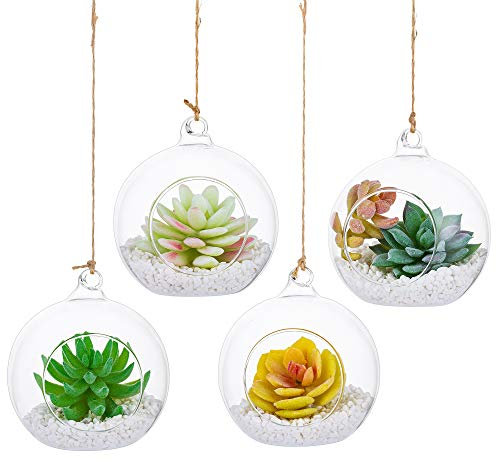 Hängende Glaskugel Vase Glaskugel 4 Pcs Große Öffnung Sukkulenten Aufhängen Terrarium Glas Flower Air Pflanzgefäß Container 4 Inches für Home Party Hochzeitsgarten DIY Desig