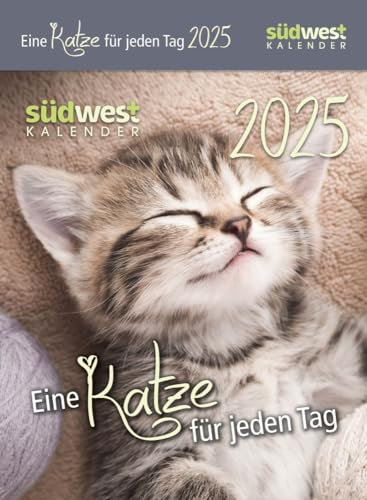 Eine Katze für jeden Tag - Tagesabreißkalender 2025 zum Aufstellen oder Aufhängen - Südwest-Verlag - Aufstellkalender - 11 cm x 15 cm