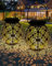 2025 Newest Solar Lanterns Light, KALAHOL 2 Pack Outdoor Lanterns for Garden with Beautiful Pattern, Outdoor Hanging Garden Solar Lights for Outside Patio Table Balcony Courtyard