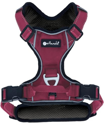 Petlando Hundegeschirr Outdoor – stark reflektierend, gepolstert, atmungsaktiv, robust, stufenlos verstellbar, Zwei D-Ringe – Berry, L (Halsumfang 48-62cm, Brustumfang 68-82cm)