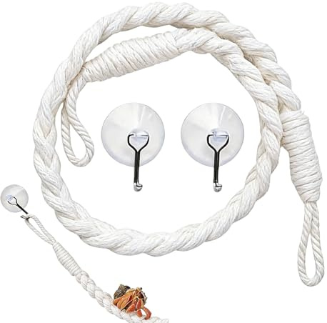 Jouets d'escalade pour crabe ermite – Fournitures pour animaux de compagnie à ventouse, accessoires de réservoir d'habitat pour crabes, reptiles, jouet d'escalade amusant, lézard, gecko, grenouille d'