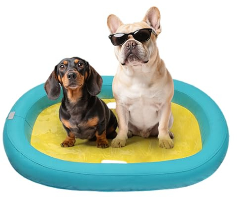 Radeau pour chien | Flotteur pour animal domestique | Tapis flottant pour chiot - Anti-fuite - Accessoire de jeu d'eau en plein air pour jardin, rivière, lac, soutien d'activité