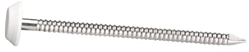 Don Quichotte 973430 A4 Pointe Annelée avec Polymère Tête, Inox, 2.65mm Diamètre, 50mm Longueur, Lot de 100