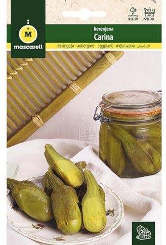 Mascarell Semillas, BERENJENA, Semillas Huerto, BERENJENA CARINA, Crea tu Propio Huerto Urbano y Cultivo en Casa, Plantas Hortícolas, 2 Gramos