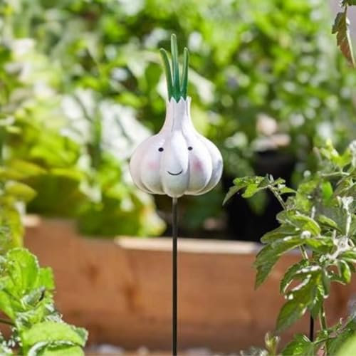 Garden Mile Garlic Decorative Garden Stakes Cute And Charming Garden Ornaments Outdoor Waterproof For Flowerbeds Plant Pots Unusual Stake Decorations For Outside Vegetables Decorative Ornaments