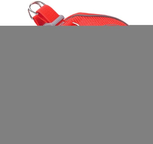 Harnais De Promenade pour Chat | Harnais Sécuritaire Souple Réfléchissant avec Laisse,Accessoires pour Chiens Et Chats Toutes Tailles Voyage Randonnée