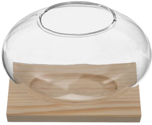 FUTUREORYY Pot de Fleurs Hydroponique en Verre Transparent avec Socle en Bois Naturel Vase Rond pour Plantes D’intérieur, Propagation Facile, Décoration Bureau et Maison Récipient 1 Pièce