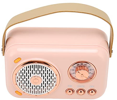 Tragbarer Bluetooth-Lautsprecher und Mikrofon-Set, Retro-Bluetooth-Lautsprecher und Karaoke-Mikrofon mit 6 Klangmodi, Unterstützt Bluetooth, AUX und Speicherkarte