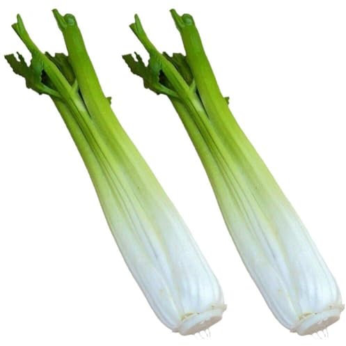Luxylei Selleriestangen, 2 Stück, Künstliches Gemüse, Grünes Kunstgemüse Zur Dekoration, Heimdekoration, Marktdisplay, Küchendekoration