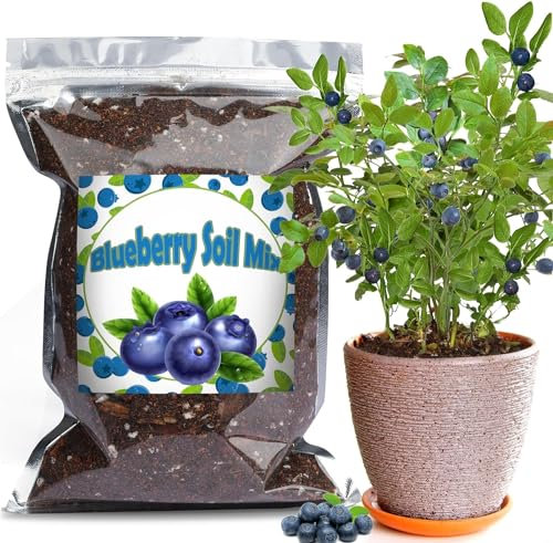 Organic Blueberry Soil Mix 1L, Indoor Plants Potting Mix for All Potted Blueberry, Grow Healthy houseplants Indoors