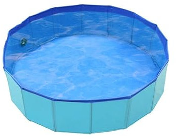 Avilia - Piscina Bambini Rigida 160x30 cm in PVC con Fondo Antiscivolo - Piscina da Giardino per Bambini da Esterno - Facile da Montare, Sicura e Divertente